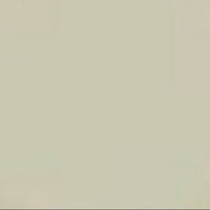 Meet your Posher, Chelsea